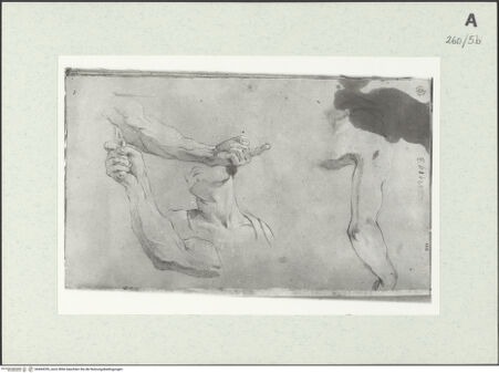 Vorderseite von Istituto Nazionale per la Grafica [https://www.deutsche-digitale-bibliothek.de/content/lizenzen/rv-ez/] Männliche Büste. Armstudien - , bh464339_recto. Foto.