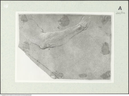 Vorderseite von Istituto Nazionale per la Grafica [https://www.deutsche-digitale-bibliothek.de/content/lizenzen/rv-ez/] Studie zu einem rechten Arm - , bh464340_recto. Foto.