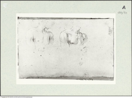 Vorderseite von Istituto Nazionale per la Grafica [https://www.deutsche-digitale-bibliothek.de/content/lizenzen/rv-ez/] Zwei Studien zu einer männlichen Büste - , bh464345_recto. Foto.