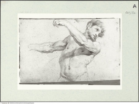 Vorderseite von Istituto Nazionale per la Grafica [https://www.deutsche-digitale-bibliothek.de/content/lizenzen/rv-ez/] Männliche Aktstudie in Halbfigur - , bh464348_recto. Foto.