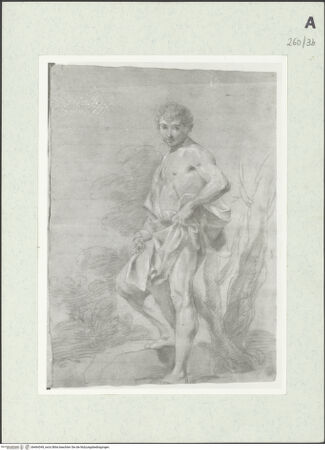 Vorderseite von Istituto Nazionale per la Grafica [https://www.deutsche-digitale-bibliothek.de/content/lizenzen/rv-ez/] Zum Teil drapierte Gestalt eines jungen Mannes. Im Hintergrund eine Baumlandschaft - , bh464349_recto. Foto.