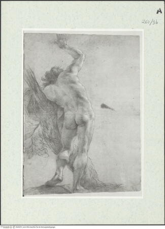 Vorderseite von Istituto Nazionale per la Grafica [https://www.deutsche-digitale-bibliothek.de/content/lizenzen/rv-ez/] Von hinten gesehene unbekleidete männliche Gestalt mit einem erhobenen Arm, die sich an einen Baum lehnt - , bh464351_recto. Foto.