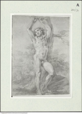 Vorderseite von Istituto Nazionale per la Grafica [https://www.deutsche-digitale-bibliothek.de/content/lizenzen/rv-ez/] Unbekleidete männliche Gestalt mit erhobenen Armen, die sich an einen Baum lehnt - , bh464352_recto. Foto.