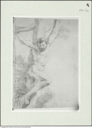 Vorderseite von Istituto Nazionale per la Grafica [https://www.deutsche-digitale-bibliothek.de/content/lizenzen/rv-ez/] An einem Baum hängende männliche Gestalt - , bh464359_recto. Foto.