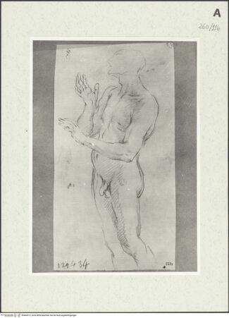 Vorderseite von Istituto Nazionale per la Grafica [https://www.deutsche-digitale-bibliothek.de/content/lizenzen/rv-ez/] Stehende männliche Gestalt - , bh464372_recto. Foto.