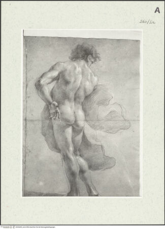 Vorderseite von Istituto Nazionale per la Grafica [https://www.deutsche-digitale-bibliothek.de/content/lizenzen/rv-ez/] Unbekleidete Gestalt eines Mannes, von hinten gesehen - , bh464402_recto. Foto.