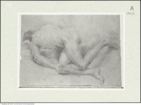 Vorderseite von Istituto Nazionale per la Grafica [https://www.deutsche-digitale-bibliothek.de/content/lizenzen/rv-ez/] Herabstürzende männliche Gestalt - , bh464417_recto. Foto.