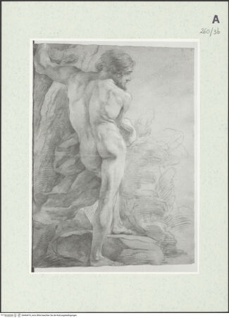 Vorderseite von Istituto Nazionale per la Grafica [https://www.deutsche-digitale-bibliothek.de/content/lizenzen/rv-ez/] Von hinten gesehene männliche Gestalt, die sich an einen Baum lehnt und eine Draperie hält - , bh464419_recto. Foto.