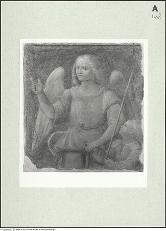 Vorderseite von bh464474_recto