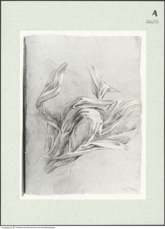 Vorderseite von Istituto Nazionale per la Grafica [https://www.deutsche-digitale-bibliothek.de/content/lizenzen/rv-ez/] Drapierte sitzende Gestalt - , bh464485_recto. Foto.