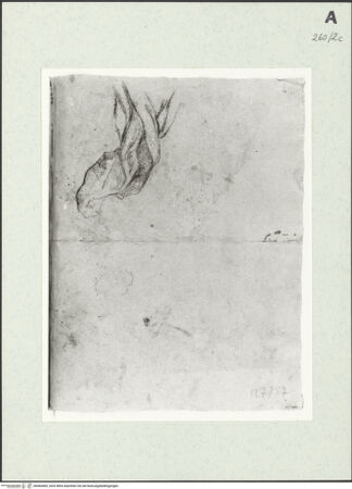 Vorderseite von Istituto Nazionale per la Grafica [https://www.deutsche-digitale-bibliothek.de/content/lizenzen/rv-ez/] Draperiestudie - , bh464489_recto. Foto.