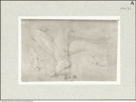 Vorderseite von Istituto Nazionale per la Grafica [https://www.deutsche-digitale-bibliothek.de/content/lizenzen/rv-ez/] Bein- und Handstudien - , bh464519_recto. Foto.