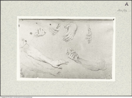 Vorderseite von Istituto Nazionale per la Grafica [https://www.deutsche-digitale-bibliothek.de/content/lizenzen/rv-ez/] Arm- und Handstudien - , bh464521_recto. Foto.