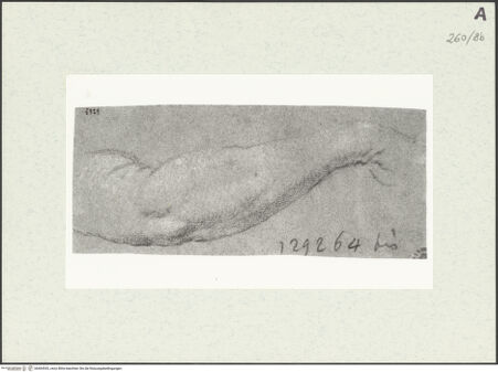 Vorderseite von Istituto Nazionale per la Grafica [https://www.deutsche-digitale-bibliothek.de/content/lizenzen/rv-ez/] Armstudie - , bh464543_recto. Foto.