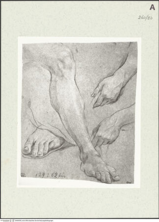 Vorderseite von Istituto Nazionale per la Grafica [https://www.deutsche-digitale-bibliothek.de/content/lizenzen/rv-ez/] Detailstudien - , bh464545_recto. Foto.