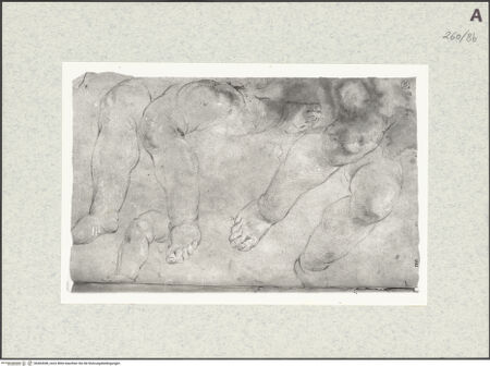 Vorderseite von Istituto Nazionale per la Grafica [https://www.deutsche-digitale-bibliothek.de/content/lizenzen/rv-ez/] Beinstudien zu Putten - , bh464548_recto. Foto.