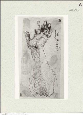 Vorderseite von Istituto Nazionale per la Grafica [https://www.deutsche-digitale-bibliothek.de/content/lizenzen/rv-ez/] Armstudie - , bh464550_recto. Foto.