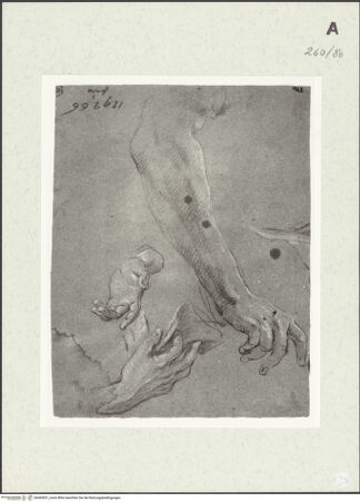 Vorderseite von Istituto Nazionale per la Grafica [https://www.deutsche-digitale-bibliothek.de/content/lizenzen/rv-ez/] Arm- und Handstudien - , bh464551_recto. Foto.