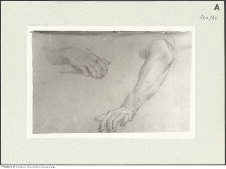 Vorderseite von Istituto Nazionale per la Grafica [https://www.deutsche-digitale-bibliothek.de/content/lizenzen/rv-ez/] Armstudien - , bh464552_recto. Foto.