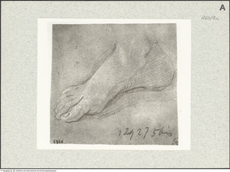 Vorderseite von Istituto Nazionale per la Grafica [https://www.deutsche-digitale-bibliothek.de/content/lizenzen/rv-ez/] Studie zu einem Fuß - , bh464553_recto. Foto.