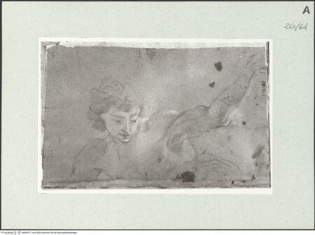 Vorderseite von Istituto Nazionale per la Grafica [https://www.deutsche-digitale-bibliothek.de/content/lizenzen/rv-ez/] Männliche Büste - , bh464577_recto. Foto.