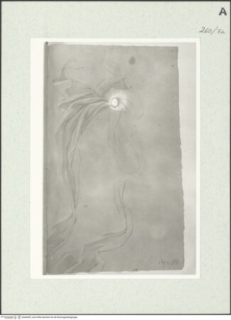 Vorderseite von Istituto Nazionale per la Grafica [https://www.deutsche-digitale-bibliothek.de/content/lizenzen/rv-ez/] Drapierte Gestalt - , bh464587_recto. Foto.