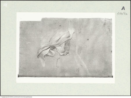 Vorderseite von Istituto Nazionale per la Grafica [https://www.deutsche-digitale-bibliothek.de/content/lizenzen/rv-ez/] Draperiestudie - , bh464590_recto. Foto.