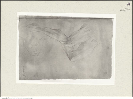 Vorderseite von Istituto Nazionale per la Grafica [https://www.deutsche-digitale-bibliothek.de/content/lizenzen/rv-ez/] Figurenskizze in Halbfigur. Studie zu einem Beinpaar - , bh464673_recto. Foto.