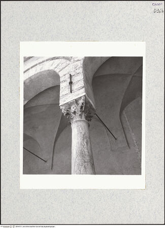 Vorderseite von Bibliotheca Hertziana [https://www.deutsche-digitale-bibliothek.de/content/lizenzen/rv-fz/] Kapitell und Schaft, bh464731_recto. Foto: Krautheimer, Richard.