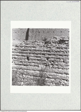 Vorderseite von bh464894_recto