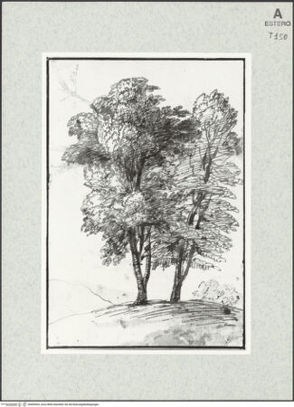 Vorderseite von bh465063_recto