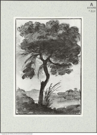 Vorderseite von bh465066_recto