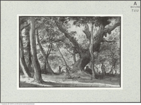 Vorderseite von bh465078_recto