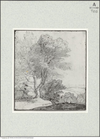 Vorderseite von bh465082_recto