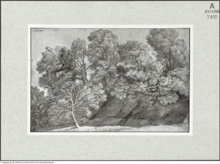 Vorderseite von bh465092_recto