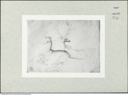 Vorderseite von bh465110_recto