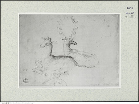 Vorderseite von bh465119_recto