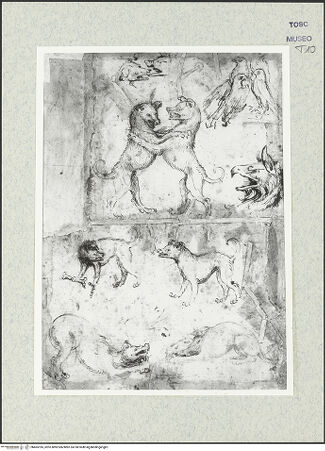 Vorderseite von bh465185_recto