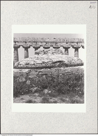 Vorderseite von Bibliotheca Hertziana [https://www.deutsche-digitale-bibliothek.de/content/lizenzen/rv-fz/] Basilica (Basilika) - Im Vordergrund bauplastisches Fragment, dahinter Detail der Portikus, bh465358_recto. Foto: Krautheimer, Richard.