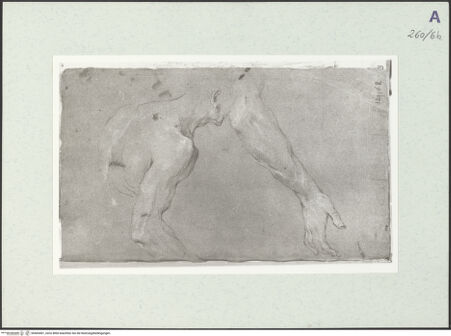 Vorderseite von Istituto Nazionale per la Grafica [https://www.deutsche-digitale-bibliothek.de/content/lizenzen/rv-ez/] Männliche Aktstudie in Halbfigur. Armstudie - , bh465401_recto. Foto.