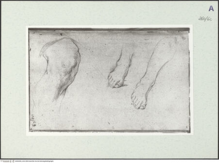 Vorderseite von Istituto Nazionale per la Grafica [https://www.deutsche-digitale-bibliothek.de/content/lizenzen/rv-ez/] Beinstudien - , bh465406_recto. Foto.