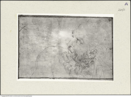 Vorderseite von Istituto Nazionale per la Grafica [https://www.deutsche-digitale-bibliothek.de/content/lizenzen/rv-ez/] Studie zu einer bärtigen männlichen Halbfigur - Detail, bh465461_recto. Foto.