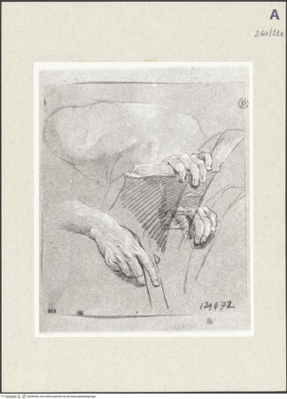 Vorderseite von Istituto Nazionale per la Grafica [https://www.deutsche-digitale-bibliothek.de/content/lizenzen/rv-ez/] Studien zu Händen, die ein aufgeschlagenes Buch halten - , bh465465_recto. Foto.