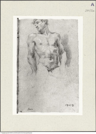 Vorderseite von Istituto Nazionale per la Grafica [https://www.deutsche-digitale-bibliothek.de/content/lizenzen/rv-ez/] Studie zu einer männlichen Halbfigur - , bh465467_recto. Foto.