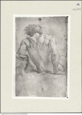 Vorderseite von Istituto Nazionale per la Grafica [https://www.deutsche-digitale-bibliothek.de/content/lizenzen/rv-ez/] Aktstudie zu einem sitzenden Mann, vom Rücken gesehen - , bh465472_recto. Foto.