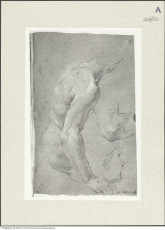 Vorderseite von Istituto Nazionale per la Grafica [https://www.deutsche-digitale-bibliothek.de/content/lizenzen/rv-ez/] Studie zu einer männlichen Halbfigur im Profil. Detailstudien - , bh465474_recto. Foto.