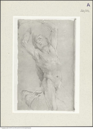 Vorderseite von Istituto Nazionale per la Grafica [https://www.deutsche-digitale-bibliothek.de/content/lizenzen/rv-ez/] Aktstudie zu einem an einen Baum gebundenen Mann. Draperiestudie - , bh465479_recto. Foto.