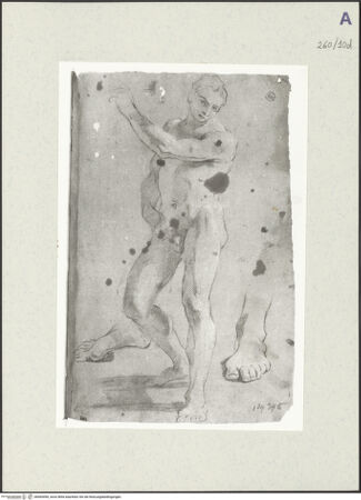 Vorderseite von Istituto Nazionale per la Grafica [https://www.deutsche-digitale-bibliothek.de/content/lizenzen/rv-ez/] Aktstudie zu einem stehenden Mann. Wiederholung seiner Füße - , bh465490_recto. Foto.