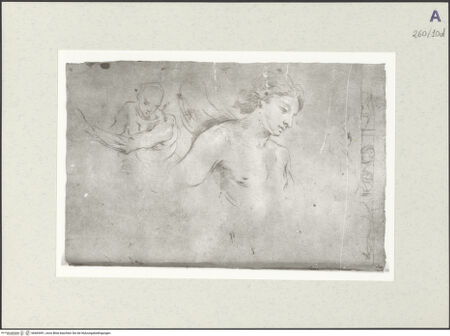 Vorderseite von Istituto Nazionale per la Grafica [https://www.deutsche-digitale-bibliothek.de/content/lizenzen/rv-ez/] Männliche Aktstudie in Halbfigur. Studie zu einem Engel - , bh465491_recto. Foto.