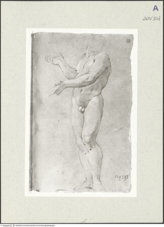 Vorderseite von Istituto Nazionale per la Grafica [https://www.deutsche-digitale-bibliothek.de/content/lizenzen/rv-ez/] Männliche Aktstudie - , bh465492_recto. Foto.